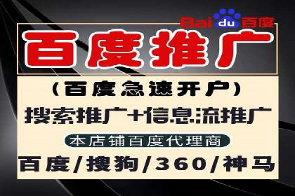 百度竞价排名之成功案例：看广告如何转化为销量